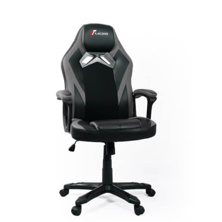 เก้าอี้เกมมิ่ง TTRacing Duo V3 หนัง PU สีเทา_1